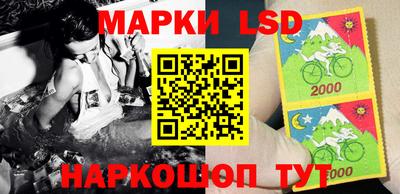 спайс Донской