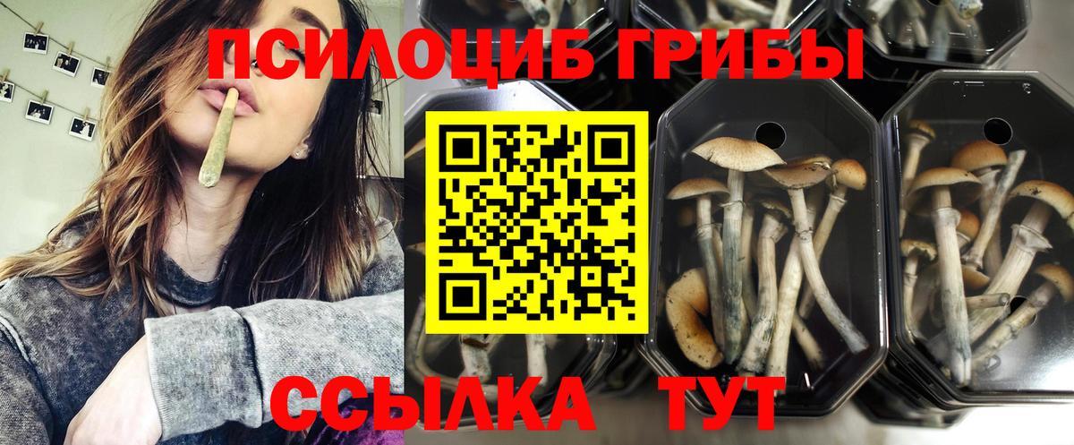 Галлюциногенные грибы мицелий  Вход с VPN  Ликино-Дулёво 
